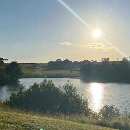 Cuddfan Lodge On A Gorgeous Private Lake 뉴포트 외부 사진